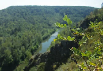 Куда поехать на майские праздники: обзор вариантов в Новосибирской области