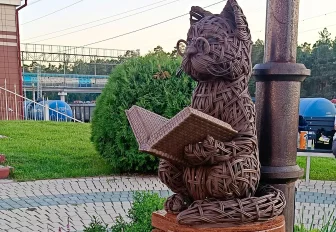 Плетёный арт-объект «Кот учёный» появился у станции Сеятель в Новосибирске