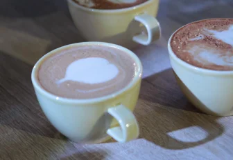 Новосибирская неделя: новые школы, свежий урожай и фестиваль кофе