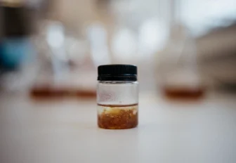 Полезную добавку для спортивного питания придумали в Новосибирске