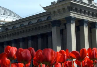 Новосибирск глазами иностранцев — гонки на санях, учёные и ураган на пляже