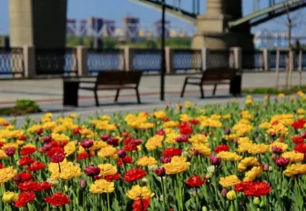 Код города: обустройство парков, трудовая доблесть и трамвайная выставка