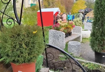 Активистов ТОС научили проектировать мини-парки в Новосибирске