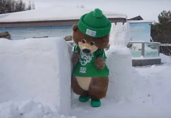 Снежный лабиринт открыли в новосибирском зоопарке