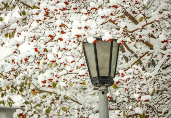 Эта зима в Новосибирске стала рекордной по осадкам с 1900 года — синоптики