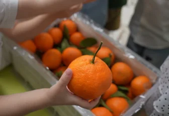 «Новосибирские новости» вручили ящик мандаринов за лучшее новогоднее окно