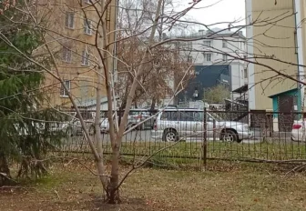 Взобравшаяся на дерево 8-летняя девочка всполошила бойцов ГБР