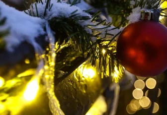 Один дома: как встречать Новый год без компании