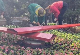 Тысячи бегоний высаживают на Цветочных часах в центре Новосибирска