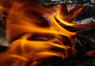 Штраф до 20 тысяч грозит новосибирцам за костры на майских праздниках