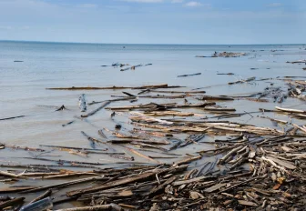 Брёвна ночью поплывут по реке Оби в Новосибирске