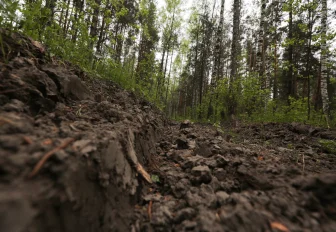 Треть повреждённых пожарами земель в Новосибирске пришлись на болота
