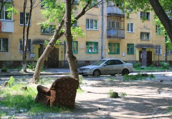 Советское наследие: как в Новосибирске борются с тополиным пухом