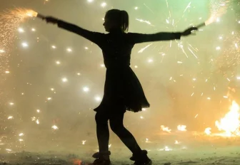 Лучшие фоторепортажи «Новосибирских новостей» за 2019 год