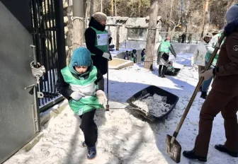 106 волонтёров вышли на субботник в Новосибирском зоопарке