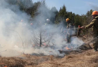 Сухая и жаркая погода увеличила риск пожаров в Новосибирске