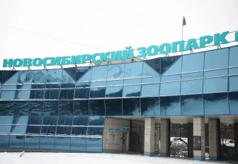 Юристы бесплатно проконсультируют пожилых в Новосибирском зоопарке