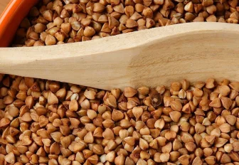 Новый завод по производству гречки запустят в Новосибирской области