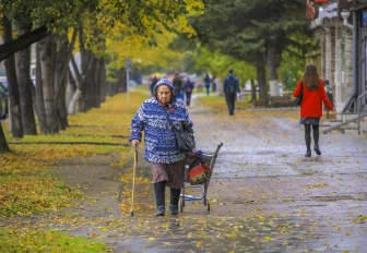 Как предотвратить пропажу человека с деменцией