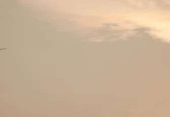 Больше 200 рейсов вылетели из Сибири в Китай после отмены виз