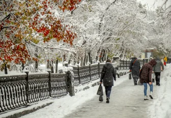 Потепление до −6 градусов придёт в Новосибирск на выходных