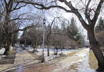 Стабильную плюсовую погоду ждут в Новосибирске к концу марта