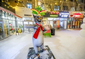 Тёплый и снежный январь спрогнозировали новосибирцам синоптики