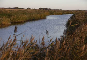 Комплекс с беспилотниками для контроля за загрязнением рек создают в НГТУ