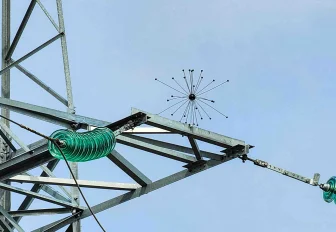 На новосибирских ЛЭП появились «иголки ежа» для спасения птиц