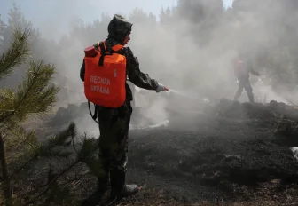 Четыре лесных пожара зафиксировали в Новосибирской области