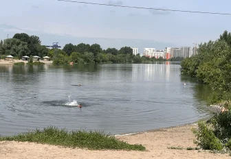 Пятеро новосибирцев получили тяжёлые травмы после прыжка в воду