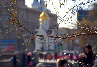 Весна в Новосибирск идёт мелкими шажочками — синоптик