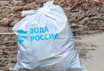 На уборку берега Ельцовки у парка «Сосновый бор» зовут новосибирцев