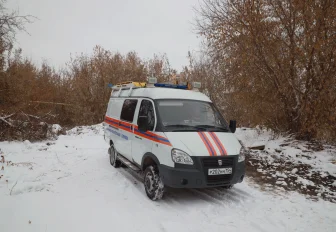 Сотрудники МАСС за неделю спасли 15 жизней в Новосибирске