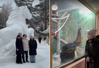 Мэр Кудрявцев: мечте двух сестёр из Томска помогли сбыться в Новосибирске
