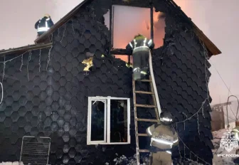 Электрогирлянда устроила пожар в садовом товариществе рядом с «Мегой»