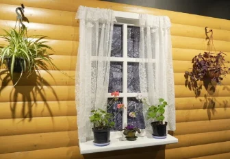 Четыре причины завести цветы на подоконнике назвали врачи из Новосибирска