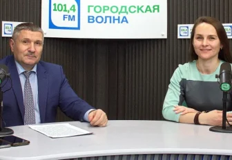 Районная приёмная: уборка снега, фонари и Новый год в Дзержинке