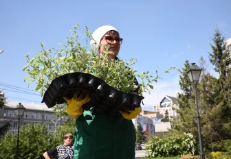 450 тысяч однолетних цветов высадят этим летом в Новосибирске