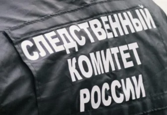 Бастрыкин заинтересовался нападением на девочку в магазине Новосибирска