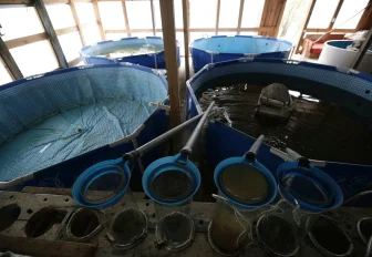 Новое производство кормов для рыб откроют в мае под Новосибирском