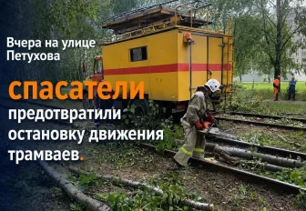 Порыв ветра повалил деревья на трамвайные пути в Новосибирске