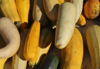 Иностранцы распробовали кабачковую икру из Сибири