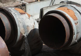 Река Чербузы в Новосибирске прогрелась до +26 градусов: что случилось