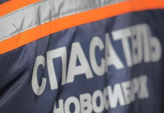 В Новосибирске бабушка пыталась спуститься с балкона на простыне (18+)