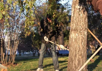 Как организовать и провести субботник