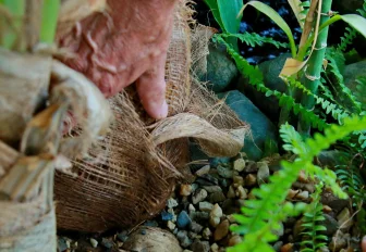 Импорт орехов в Сибирь вырос в четыре раза