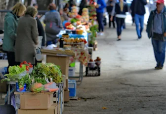 Новосибирцам рассказали, где можно бесплатно продавать урожай с огорода