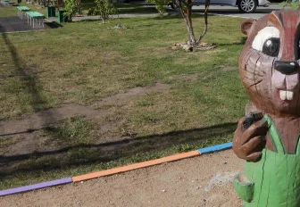 Конкурс субсидий для дворовых активистов объявили в Новосибирске