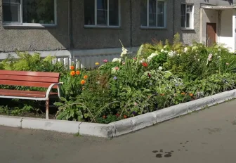 Выбираем лучшую клумбу Новосибирска: Иванова, 33